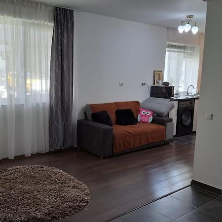 Cozy Nest Lägenhet Sinnicoara Exteriör bild