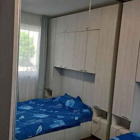 Cozy Nest Lägenhet Sinnicoara Exteriör bild
