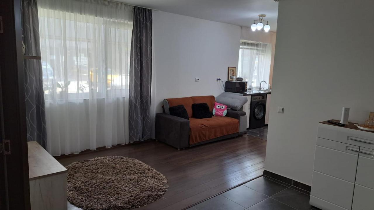 Cozy Nest Lägenhet Sinnicoara Exteriör bild