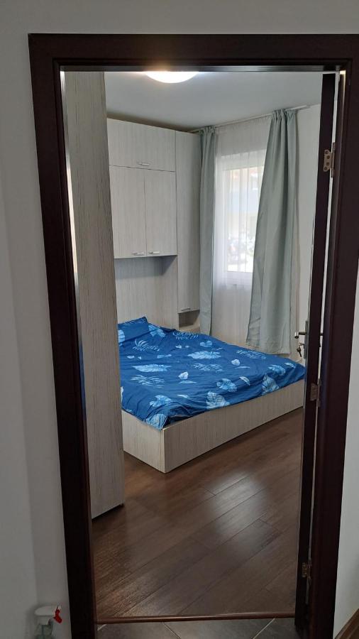 Cozy Nest Lägenhet Sinnicoara Exteriör bild