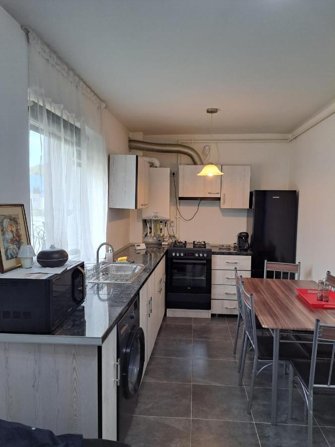 Cozy Nest Lägenhet Sinnicoara Exteriör bild