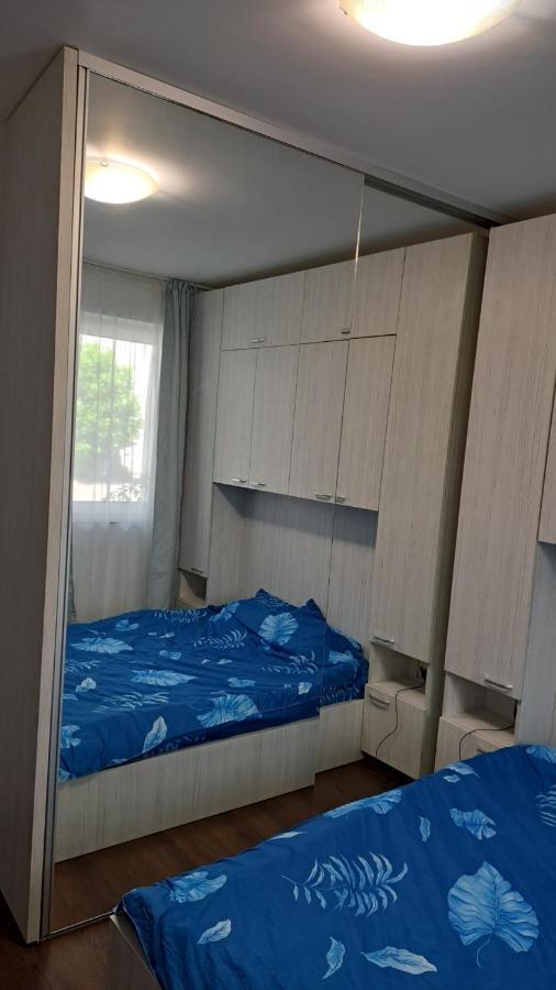 Cozy Nest Lägenhet Sinnicoara Exteriör bild